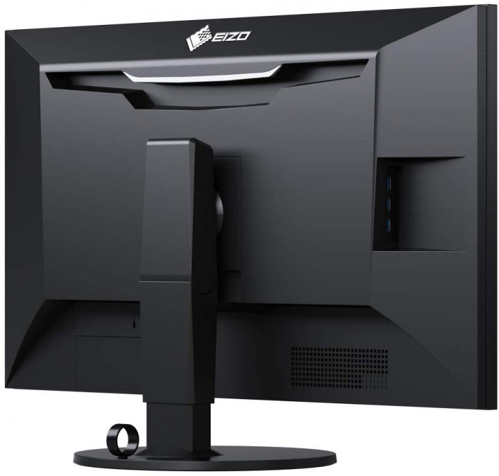 Monitor Eizo ColorEdge CG319X-4K - Garantía Eizo Iberia (5 anos)